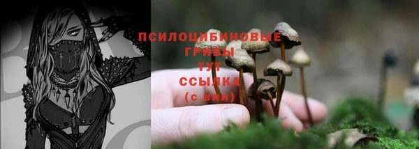 спиды Балахна
