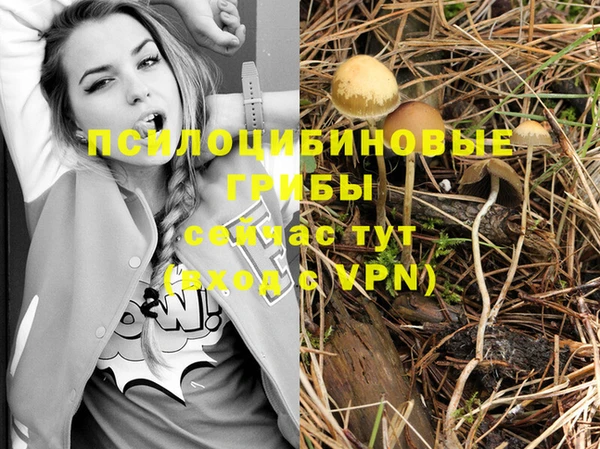 альфа пвп Баксан